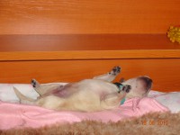 /album/fotogalerie/stenatka-055-jpg/